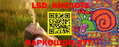 СК Вязники